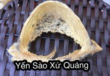 BẢO QUẢN TỔ YẾN